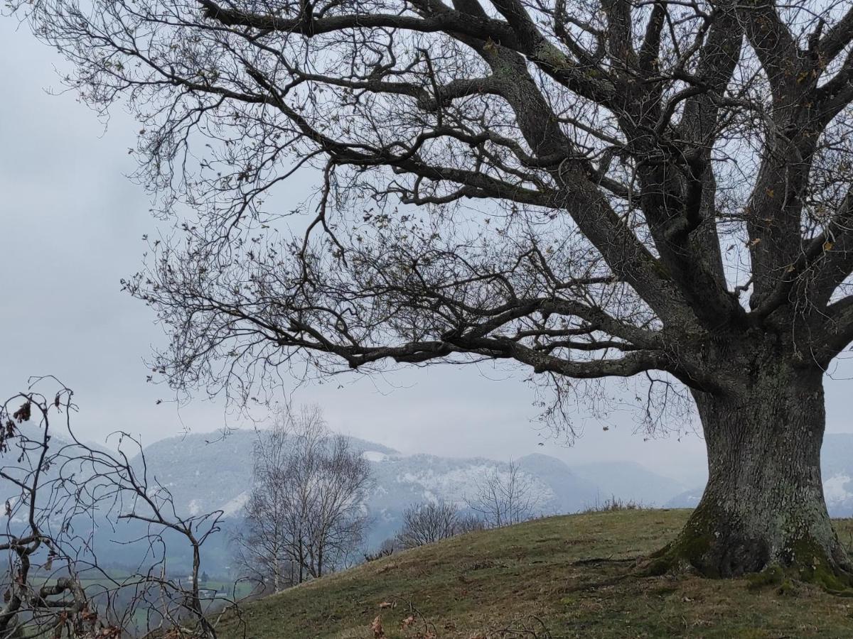 Gite Des 3 Arbres Apartman Aramits Kültér fotó